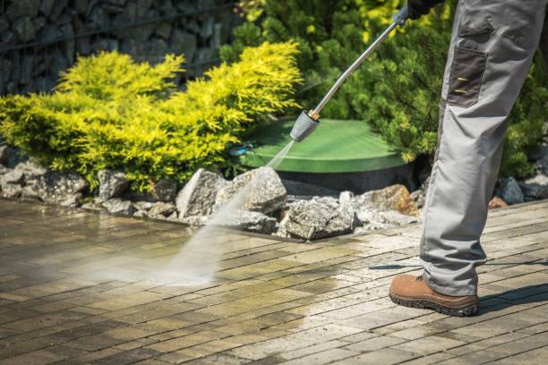 Best Roof Cleaning and Mildew Removal in Richmond, MN